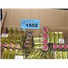 Image 1 : One box filled with wooden matches