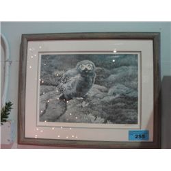 Framed limited edition signed and numbered owl