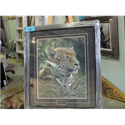 Framed Print Robert Bateman