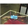 Image 1 : Baby taxidermied alligator or crocodile