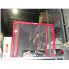 Image 1 : New EZ net portable hockey net
