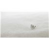 Image 1 : Man's 10Kt Gold CZ Stud earring