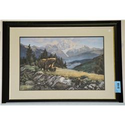 Framed grizzly bear print