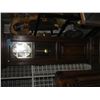 Image 1 : Tempus Fugit cased floor model clock