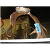 Image 1 : Set of deer antlers