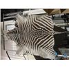 Image 1 : Zebra hide