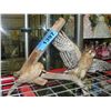 Image 1 : Professionally taxidermied bird of prey