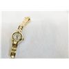 Image 1 : Ladies Embassy Diamond Watch