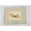 Image 2 : Small group of collectable items;