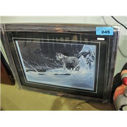 Framed LEP by Rod Tribiger
