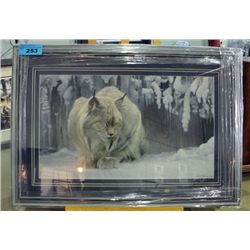 Framed Print