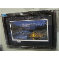 Framed LEP by Denis Mayer Jr