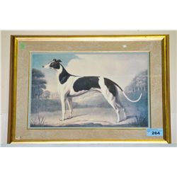 Framed dog print