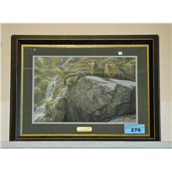 Framed Robert Bateman print tiltled "on the brink