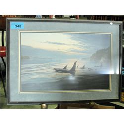 Framed Orca print