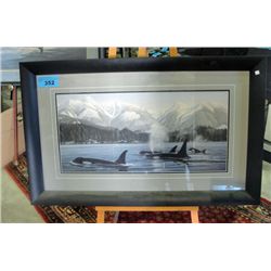 Framed limited edition signed and numbered orca