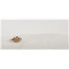 Image 1 : Rare Red Diamond ring