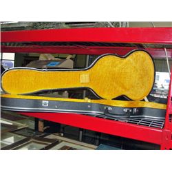 Electric guitar case