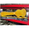 Image 1 : Electric guitar case