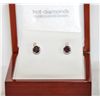 Image 1 : Ruby & Diamond earrings