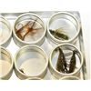 Image 3 : Box of 30 fly fisherman flies