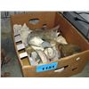 Image 1 : Box of decorative sea shells