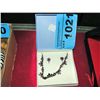 Image 1 : Ladies necklace and earring set