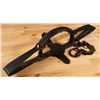 Image 1 : Grizzly Bear Trap
