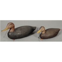 2 Hand Carved Black Duck Decoys