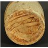 Image 5 : Texas Stoneware Jar Attributed to John Wilson
