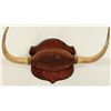 Image 2 : Post, Texas Longhorn Rack