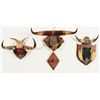 Image 1 : Collection of 4 Horn Racks