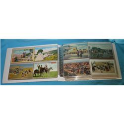 Postcard Collection of Native American Indians. 273 cards of which 225 are turn of the century image