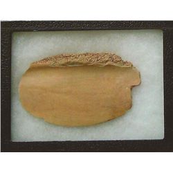 Buffalo bone squash knife, Mandan tribe, North Dakota