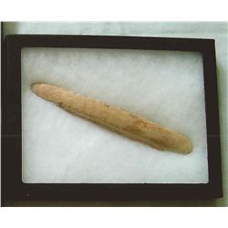 Buffalo bone flaker tool, Mandan tribe, North Dakota