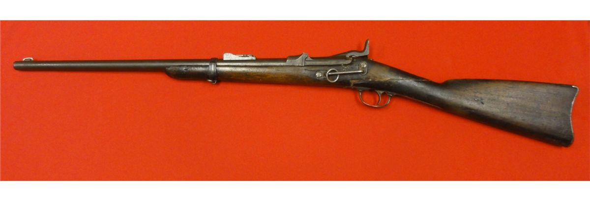 Springfield Carbine 1st Model 1876, issued to Troop L, 5th Cavalry ...