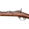Image 4 : ET0503120017 Springfield - 1873 - .45-70 - rifle