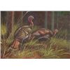 Image 1 : 5 x 7 Oil on Board ~Turkeys in Forest~ Signed W.Ceruti