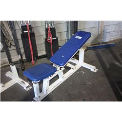 APEX ADJUSTABLE WEIGHT BENCH