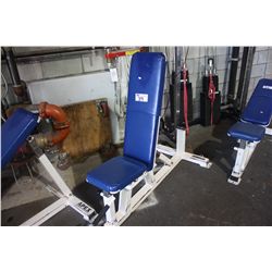 APEX ADJUSTABLE WEIGHT BENCH