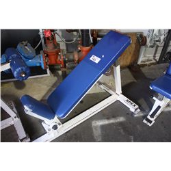 APEX ADJUSTABLE WEIGHT BENCH