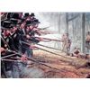 Image 2 : Dale Gallon Signed and Numbered Final Glory Print