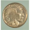 Image 2 : 1934-D BUFFALO NICKEL NTC MS64