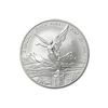 Mexican Silver Libertad 2 Ounce 2007