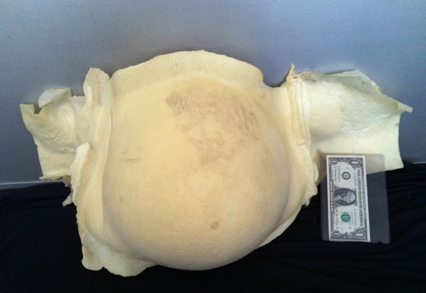 PREGNANT BELLY COSTUME APPLIANCE HORROR PROP