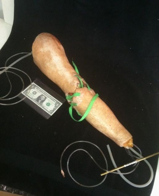 SILICONE SEVERED & SEWN BACK ON ARM PUPPET WITH GORE AND HAIR HORROR