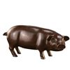Image 1 : Shy Pig Piggy Bank