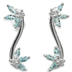 1.64 Carat Genuine Blue Topaz & White Topaz .925 Sterling Silver Earrings