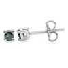 0.17 Carat Genuine Blue Diamond .925 Sterling Silver Earrings