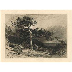 Smillie "Old Cedars Off The Coast Of Maine"